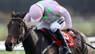 Djakadam can make it third time lucky in the Gold Cup