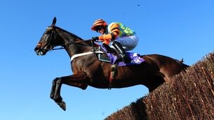 Last-gasp Might Bite rescues RSA Chase in thriller