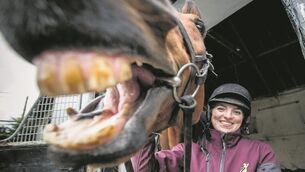 Tommy Lyons: Mouse Morris eyeing more Irish National success with Alpha Des Obeaux