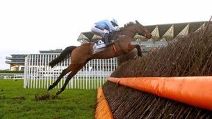 Sceaux setback a big blow for Willie Mullins in title race