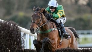 Today’s Irish raiders at Cheltenham