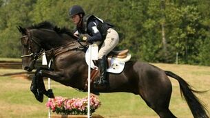 Irish-breds top of the eventing class