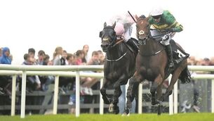 Tigris River in full flow as he denies Swamp Fox in Galway Hurdle thriller