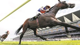 Churchill and Winter the perfect pair for a double