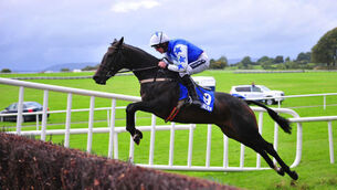 Listen Dear poised to extend winning sequence