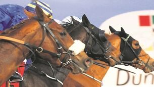 Mystic Theatre can take centre stage in Naas bumper