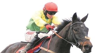 Sizing John case makes you wonder how many horses are running over clearly unsuitable trips?