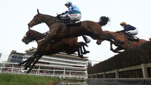 Bargy Lady has plenty going for her in mares’ maiden hurdle