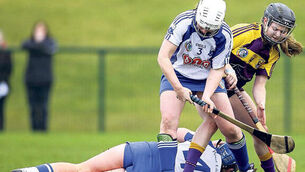 Wexford withstand Déise’s late rally