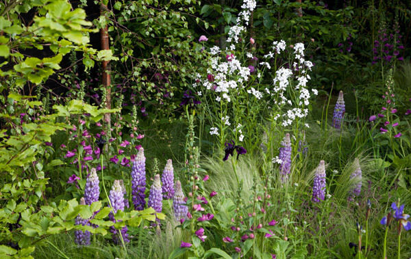 “Cookies and Cream” from 2012