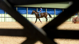 Nations Cup league takes shape ahead of Dublin Horse Show