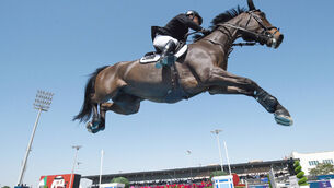 Ireland equestrian  team fall short in Florida