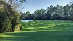 Magnolia pleads the Fifth: Augusta’s hole 5 in line for change