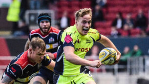 Haley will be exciting playmaker, predicts van Graan