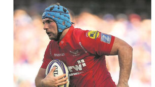 Beirne in Schmidt’s ‘most difficult’ squad