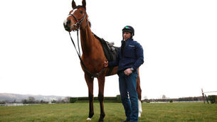 Time for Faugheen to strut his stuff on road to Cheltenham