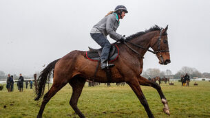 Douvan can defy lengthy absence