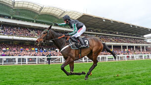 Altior looks just Champion