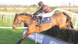 What we will learn today at Cheltenham: All Colin Tizzard’s eggs in one basket