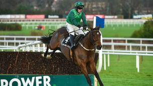 A horse without flaws? Footpad looks simply fabulous