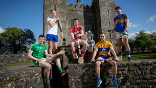 Limerick's Declan Hannon, Waterford's Kevin Moran, Cork's Seamus Harnedy, Clare's Pat O'Connor and Niall O'Meara of Tipperary 30