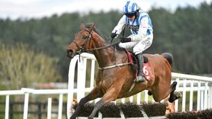Punchestown Festival - Wednesday 29th April