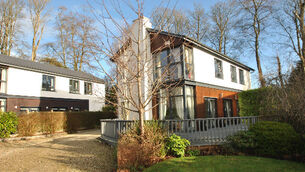 Woodland setting meets timber cladding at trim Glanmire home