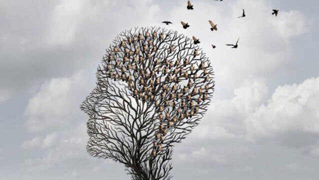 Alzheimer charity faces €1m in funding losses while Barnardos has 600 families waiting on services