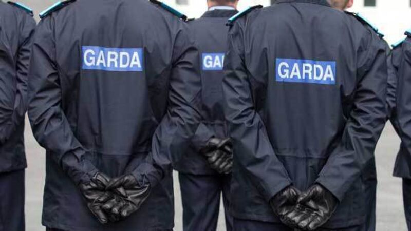 Gardai arrest two men after €200k drugs seizure in Longford Gardai arrest two men after €200k drugs seizure in Longford