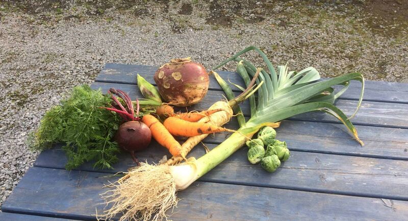 Some of Joe Mason’s produce from his allotment in Ballincollig.