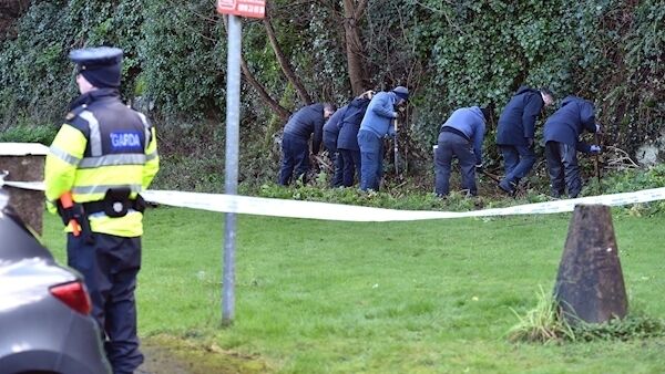 Gardaí searching the scene the day after the murder. Pic: Dan Linehan