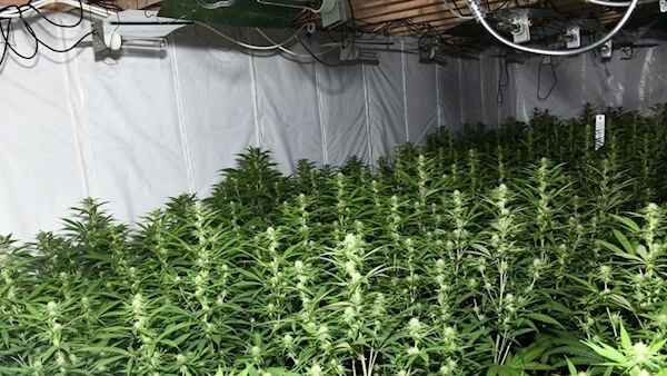 The cannabis grow house discovered in Mayo today. Pic: Garda Facebook page