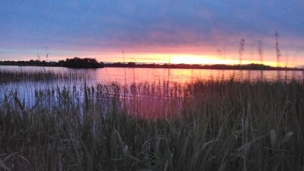 Picture courtesy of Anthony Baggott