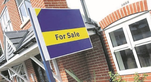 Proposals on housing, hospitals: Suggestions tear back an Irish curtain