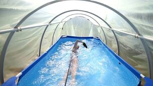 HOMEMADE TRAINING: Multiple swimming record-holder Iman Avdic practises in a small plastic pool inside an improvised greenhouse in her grandfather’s orchard in Doboj, Bosnia and Herzegovina.  	Picture: Reuters/Dado Ruvic