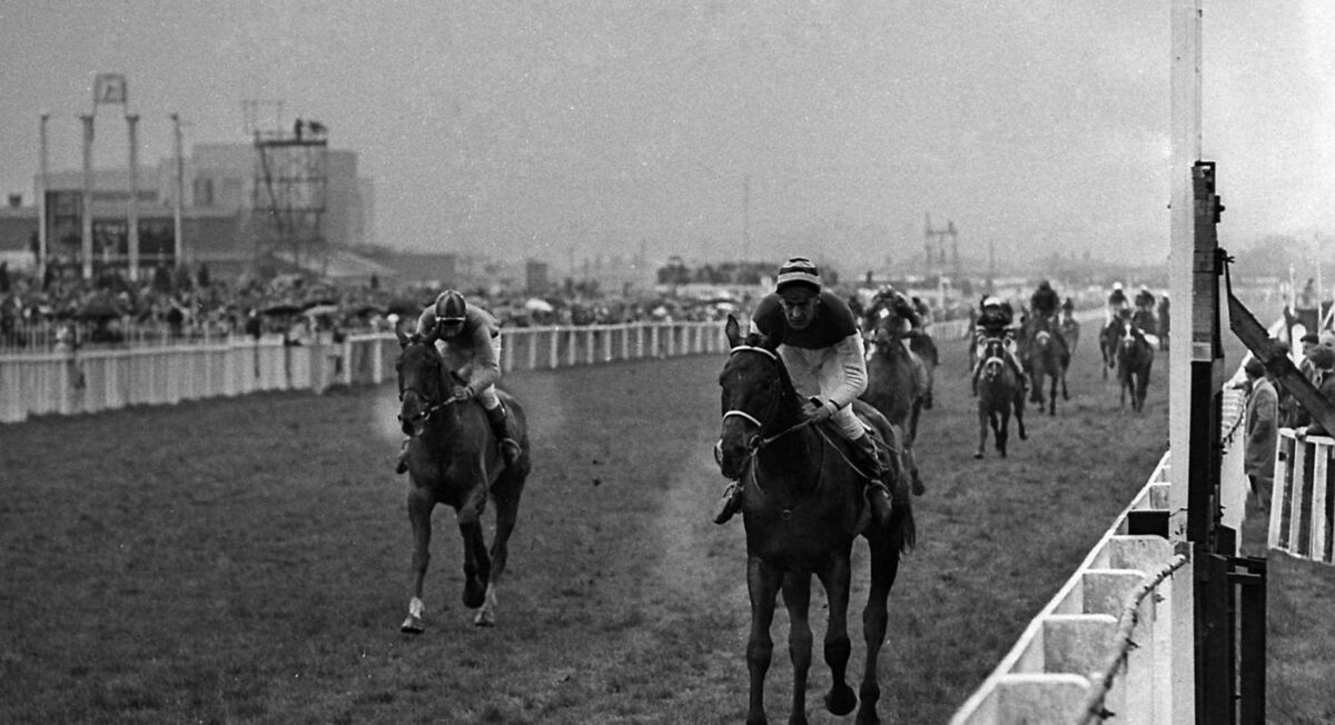 OUTSIDE BET: 100-1 outsider Foinavon, ridden by John Buckingham, about to pass the winning post after coming from the back of the field to claim a historic victory in the 1967 Grand National.