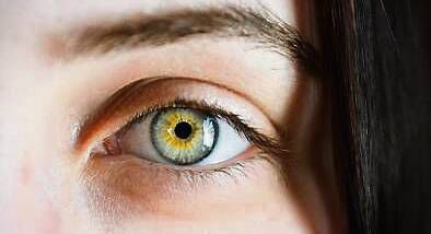 Eyebrows have a much more important function than just keeping out dust.