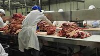 Loss of infected workers could reduce North American meat industry output 25%