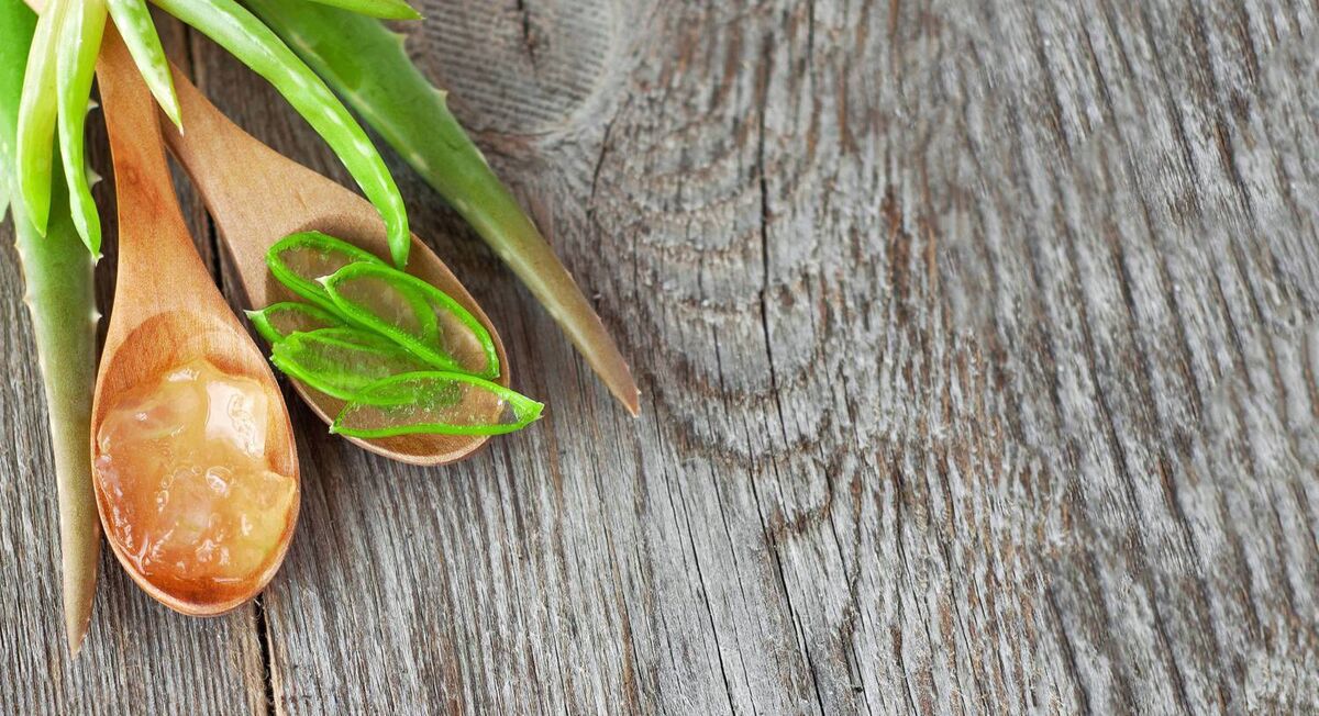 Aloe Vera. Picture: PA