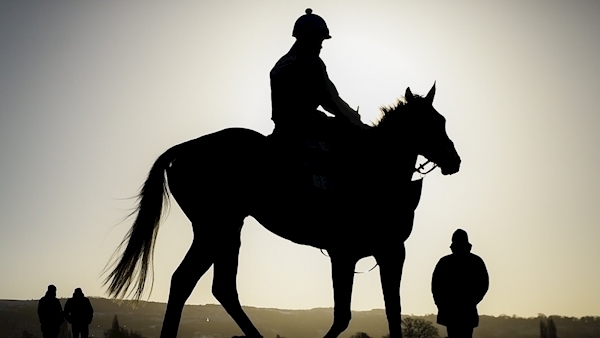 Ruby Walsh: HRI face tricky task in rescheduling National Hunt programme