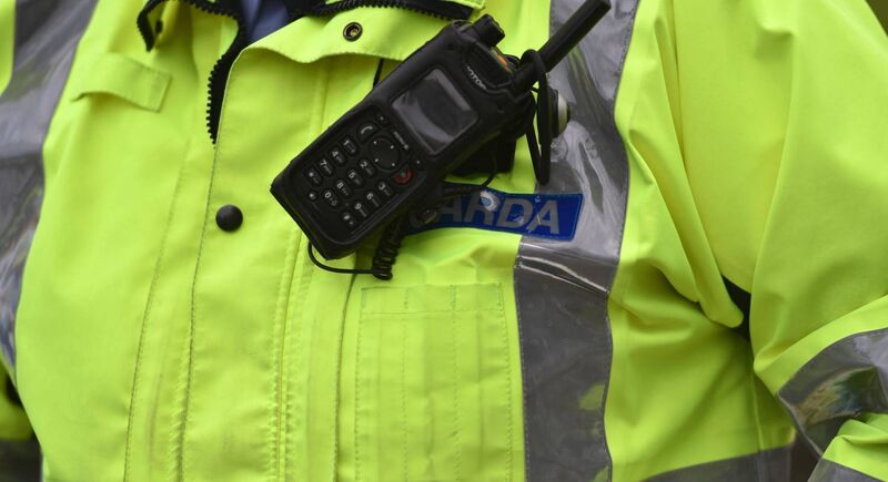 File photo of a Garda. Photo: Dan Linehan