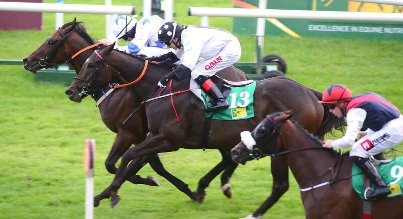 Make A Challenge beats Master Matt and Aurora Eclipse at the Curragh last year. Photo: Healy Racing. Make A Challenge beats Master Matt and Aurora Eclipse at the Curragh last year. Photo: Healy Racing.