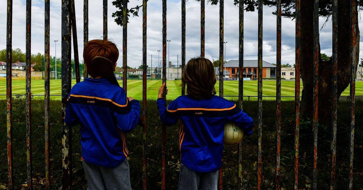 Anthony Daly It'd be a sin for the GAA to spend the rest of the year