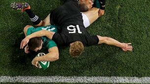Picture Perfect: 'It is the highest spot in the stadium and all I had for company were a few dead birds'