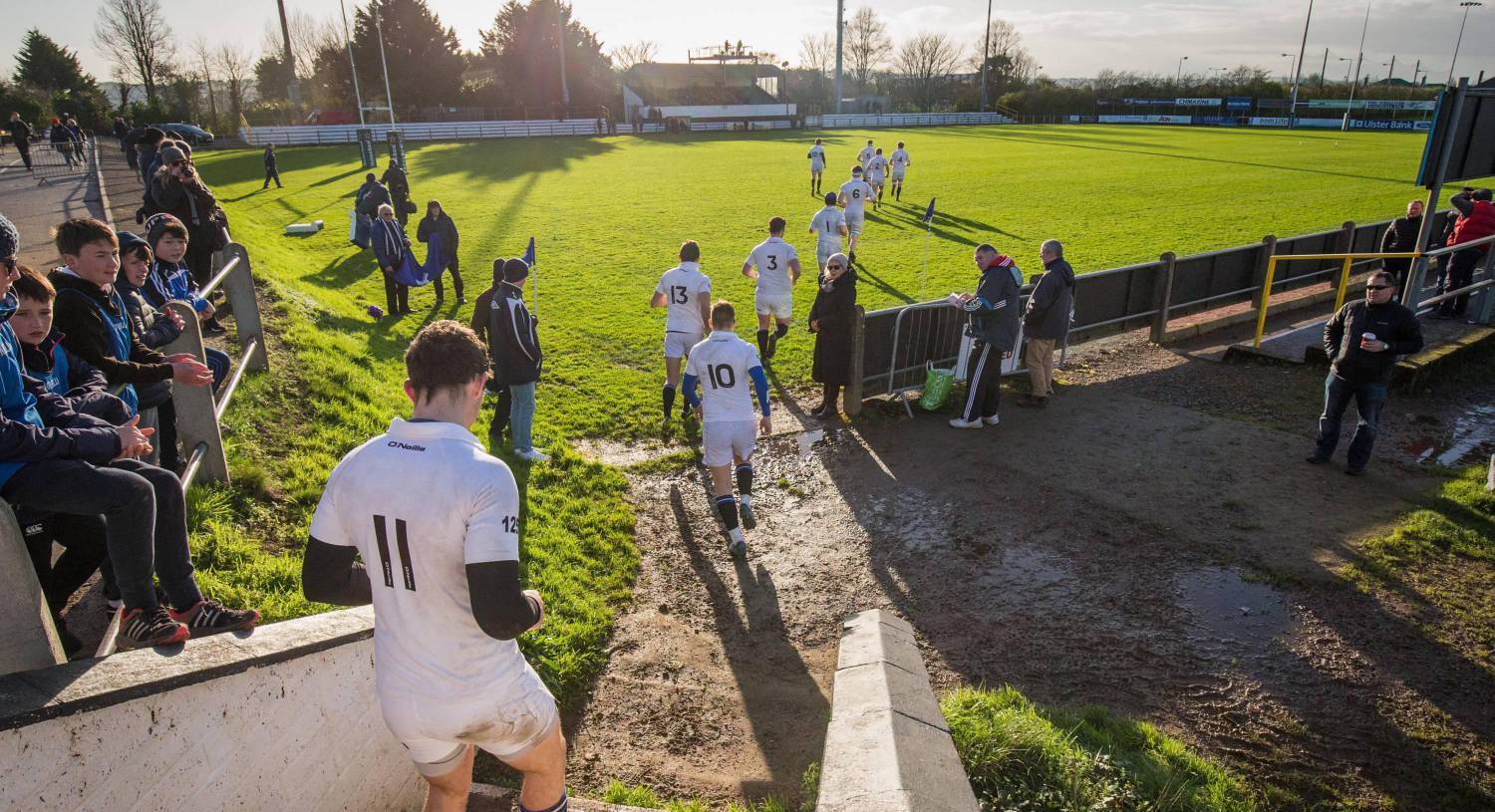 Irish rugby competitions to restart in September with 'modified season'