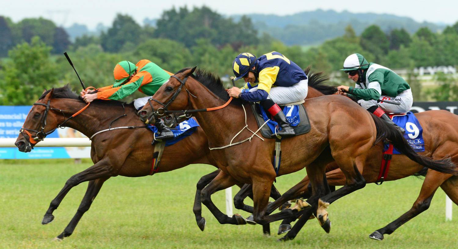 Tipperary and Curragh tips: Progressive Shanroe looks ahead of the handicapper