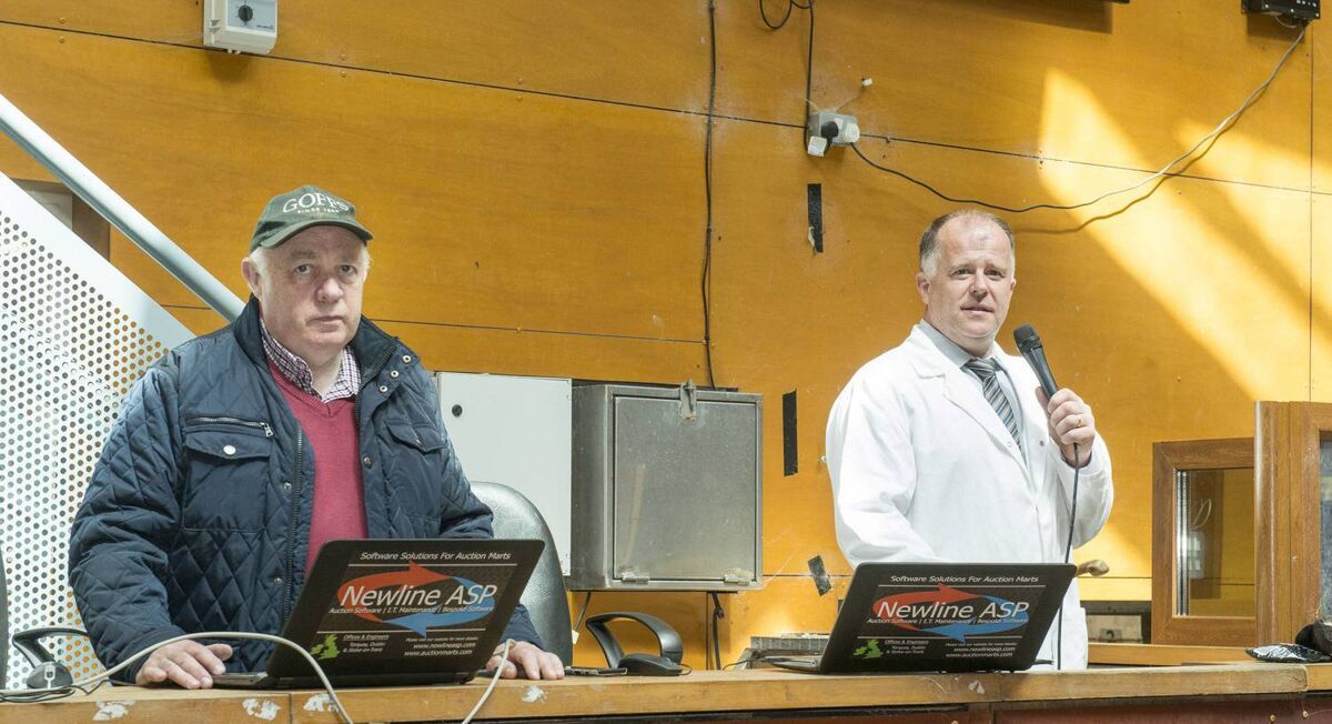 Michael Sinclair, clerk, and John Murphy, auctioneer, are Tuesday's online cattle sale in Corrin Mart, Fermoy, Co Cork. Picture: O'Gorman Photography
