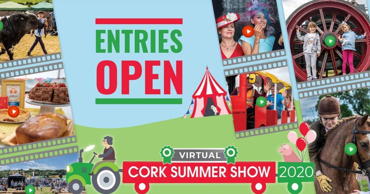 After 215 years, a Virtual Cork Summer Show