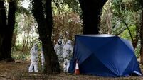Man in court charged with Phoenix Park murder