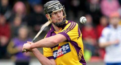 Darren Stamp: ‘Wexford can beat anyone if they bring their A game’. Picture: INPHO Darren Stamp: ‘Wexford can beat anyone if they bring their A game’. Picture: INPHO